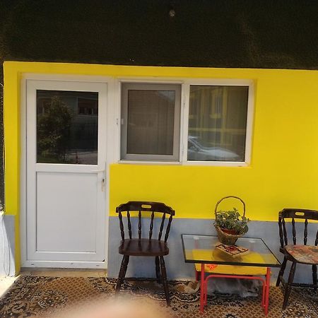 Casa Ana Apartment Hateg Luaran gambar