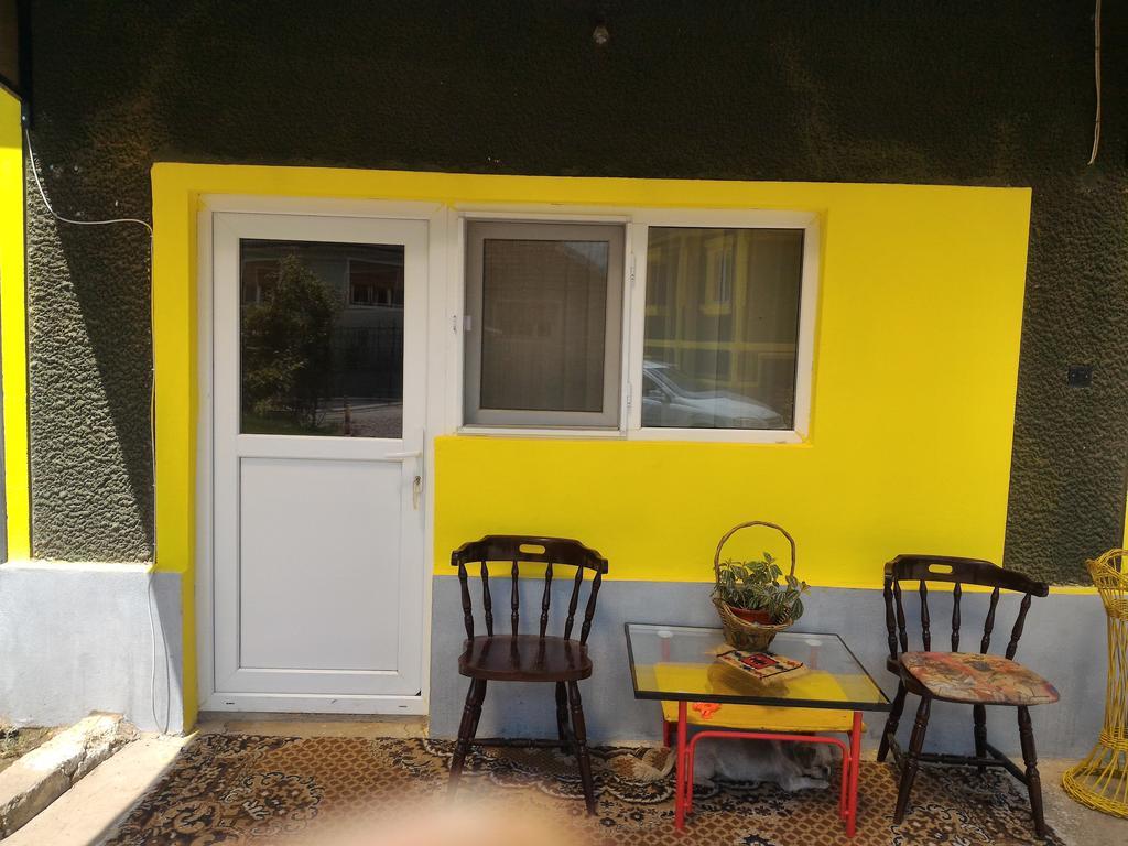 Casa Ana Apartment Hateg Luaran gambar