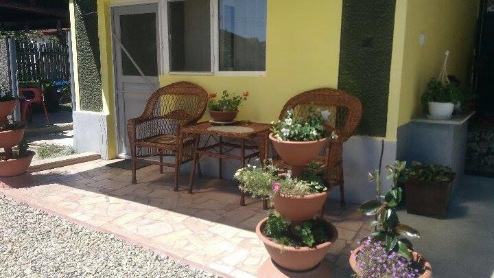 Casa Ana Apartment Hateg Luaran gambar