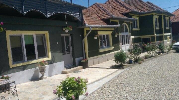 Casa Ana Apartment Hateg Luaran gambar