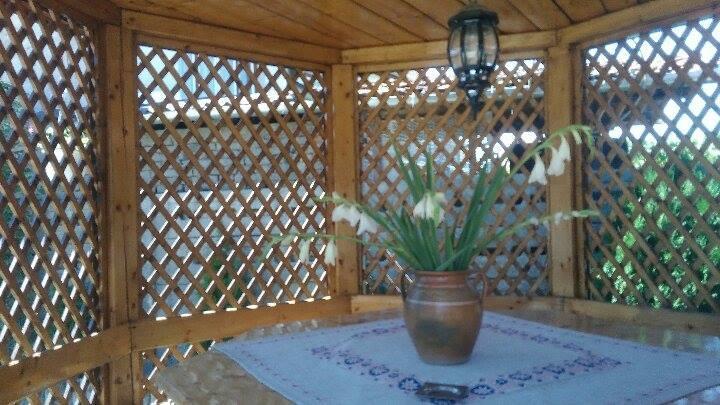 Casa Ana Apartment Hateg Luaran gambar