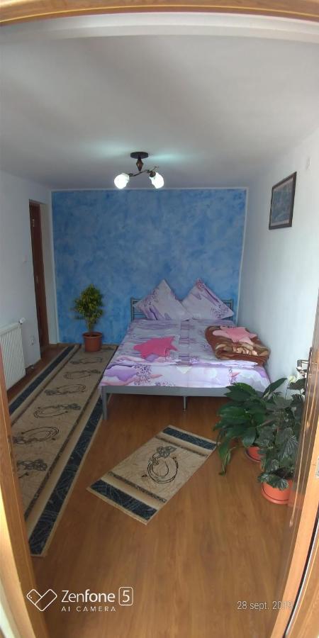 Casa Ana Apartment Hateg Luaran gambar