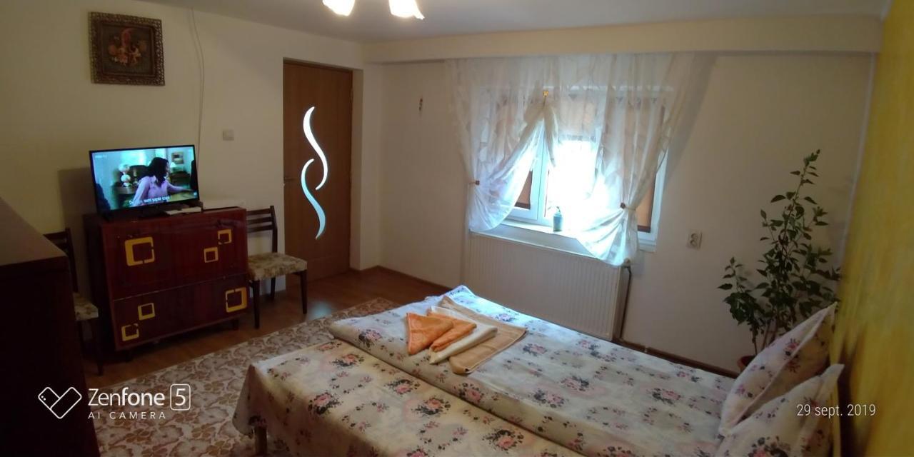 Casa Ana Apartment Hateg Luaran gambar