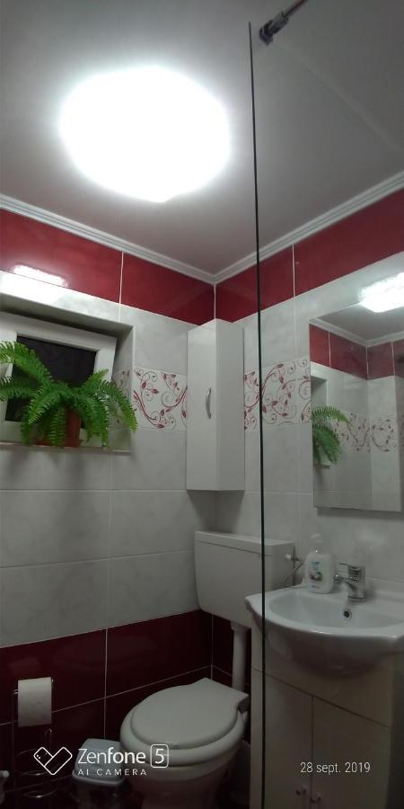 Casa Ana Apartment Hateg Luaran gambar