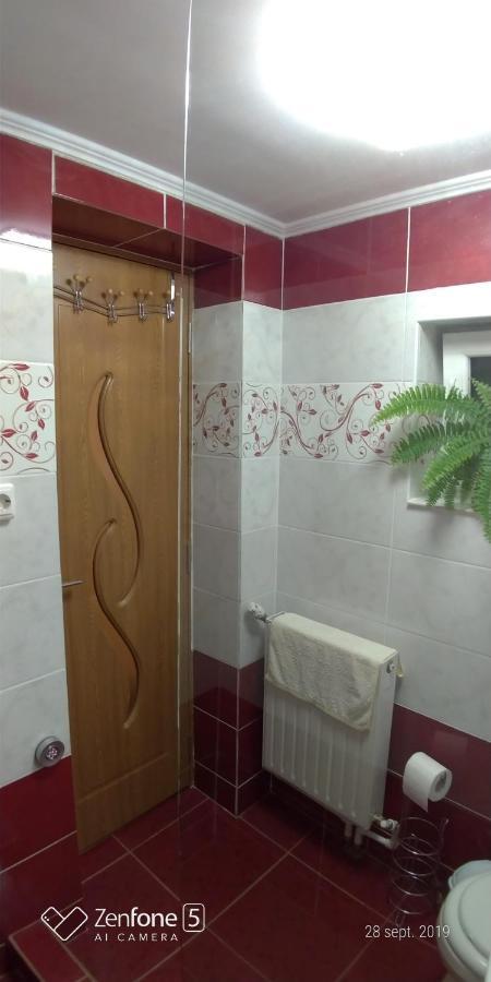 Casa Ana Apartment Hateg Luaran gambar